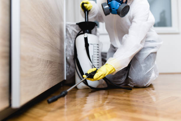 Best Affordable Pest Control Services  in Cambridge, OH