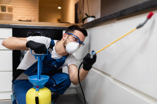 Best Pest Inspection Near Me  in Cambridge, OH