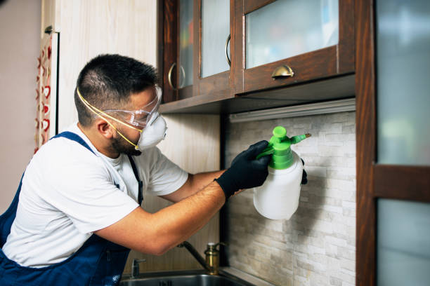 Professional Pest Control in Cambridge, OH