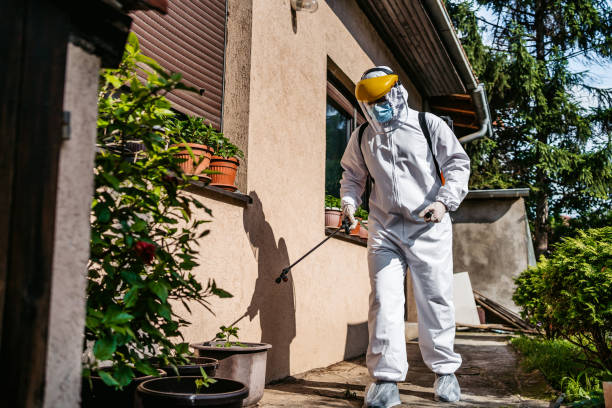 Best Wildlife Control Services  in Cambridge, OH