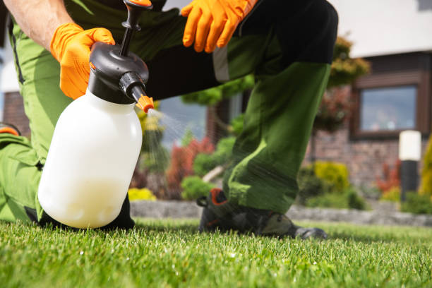 Pest Prevention Services in Cambridge, OH