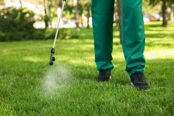 Flea Control Services in Cambridge, OH