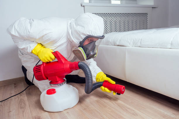 Best Affordable Pest Control Services  in Cambridge, OH