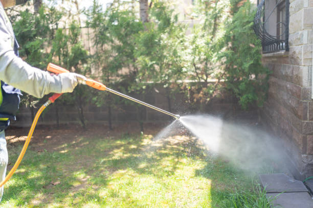 Best Wasp Removal Services  in Cambridge, OH