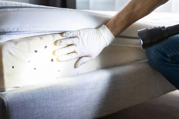 Professional Pest Control in Cambridge, OH