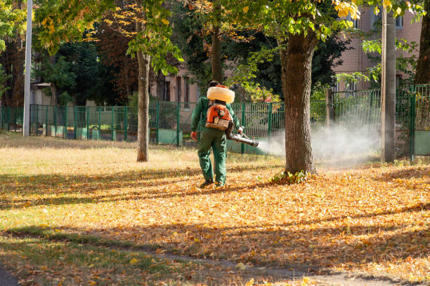 Best Pest Prevention Services  in Cambridge, OH