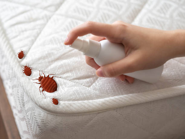 Best Exterminator Services  in Cambridge, OH