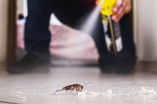 Best Bed Bug Extermination  in Cambridge, OH