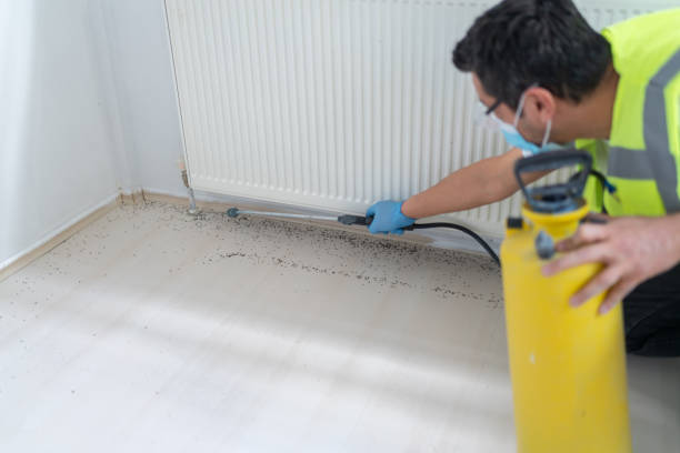 Best Flea Control Services  in Cambridge, OH