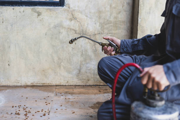 Best Wasp Removal Services  in Cambridge, OH